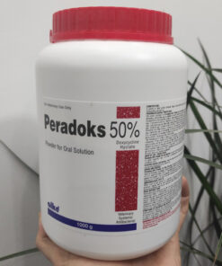 Peradoks 50