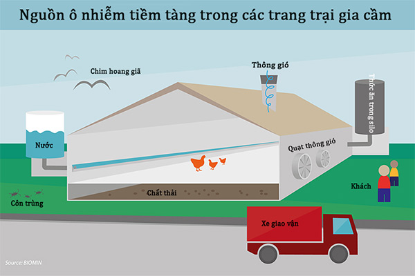 Quản lý 7 yếu tố trong chăn nuôi gia cầm giúp giảm chi phí kháng sinh P1